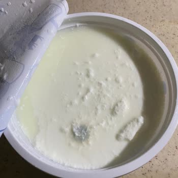 BİM Dost Marka Küflenmiş Yoğurt