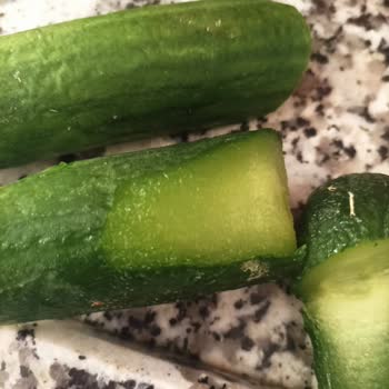 Bosch Termoteknoloji Bosch Marka Buzdolabı Donduruyor