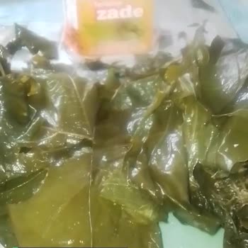 Yurtalan Yaprak Erimiş!