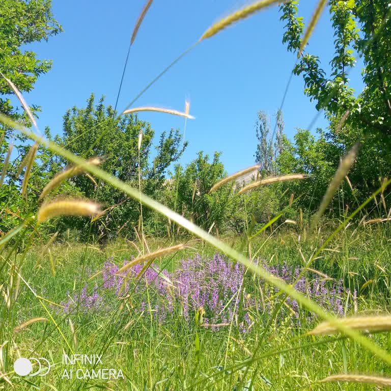 Belbim (İstanbulkart) Para Yardımı Yapın Lütfen!