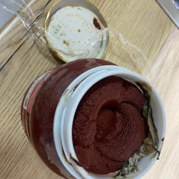 İpek Salça Açılmamış Salçanın Küflenmesi