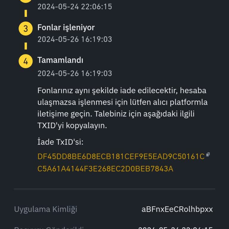 Binance'de Yapılan Coin Transferi Sonrası Cüzdana Ulaşmayan Fonlar