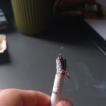 Marlboro Edge Ağaç