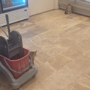 Şok Market Saglik Kurallarını Altüst Ediyor
