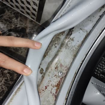 Profilo Bakım Adı Altında Paramı Aldılar.