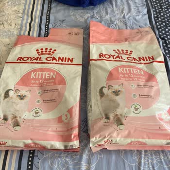 Trendyol Patili Dostlar Sahte Royal Canin Mama