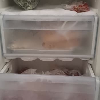 Bosch Termoteknoloji Bosch Derin Dondurucu Buzlanma Sorunu