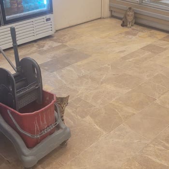 Şok Market Sağlık İle Oynuyor!
