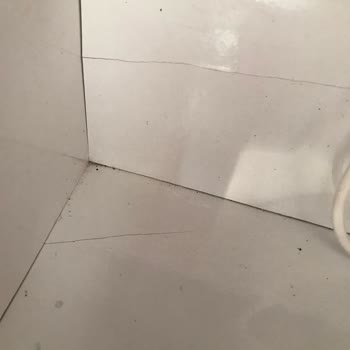 WaterDas Su Arıtma Tesisleri Gönderilen Kişilerin Sorumsuzluğu