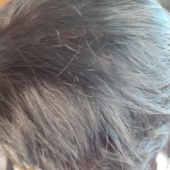 Schwarzkopf&Henkel Palette Saç Boyası