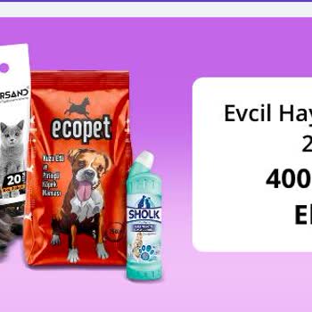 N11'in Toplama Hatası