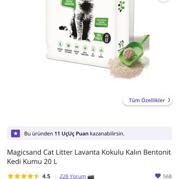 N11'in Toplama Hatası