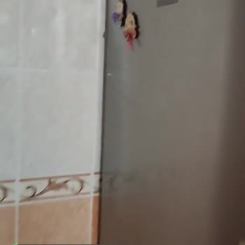 Vestel Buzdolabı Ekran Şikayeti!