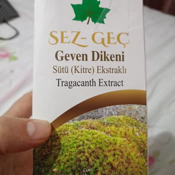 Sina Grup Reklam Sez _Geç Geven Dikeni