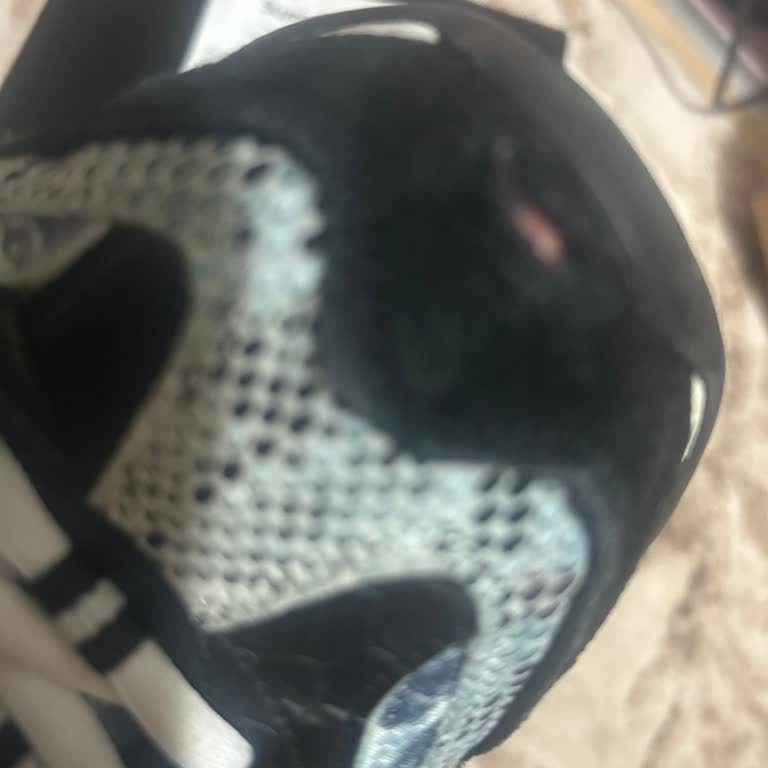 Skechers Ayakkabı İade Almıyor