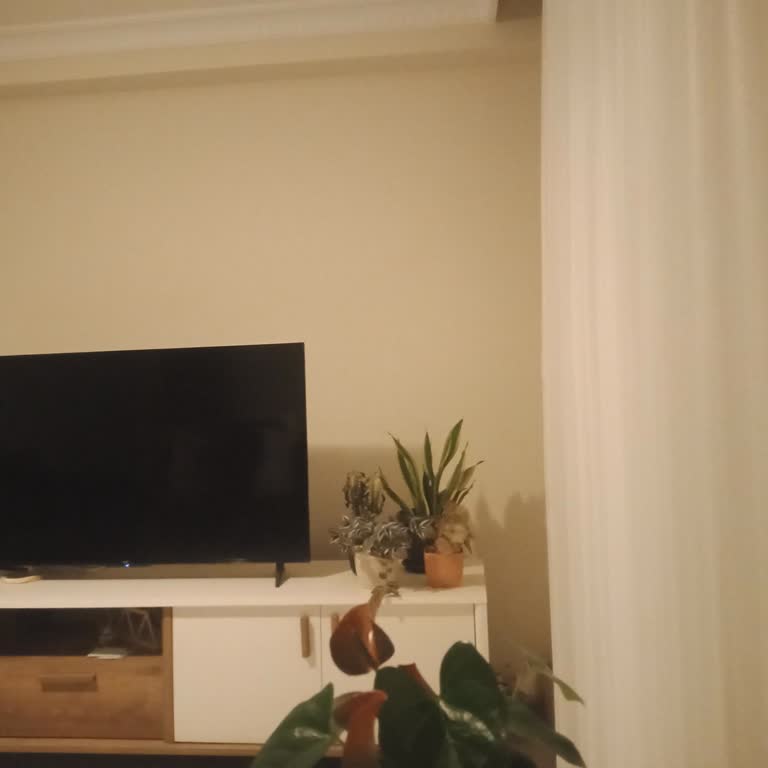 Bilkom TCL Marka Televizyon