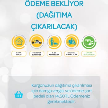 PTT Kargo Takip Sistemi Üzerine Yaşanan Sorunlar