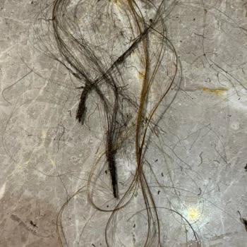 The Green Park Hotels And Resorts Pendik SPA'da Kafam Yandı!