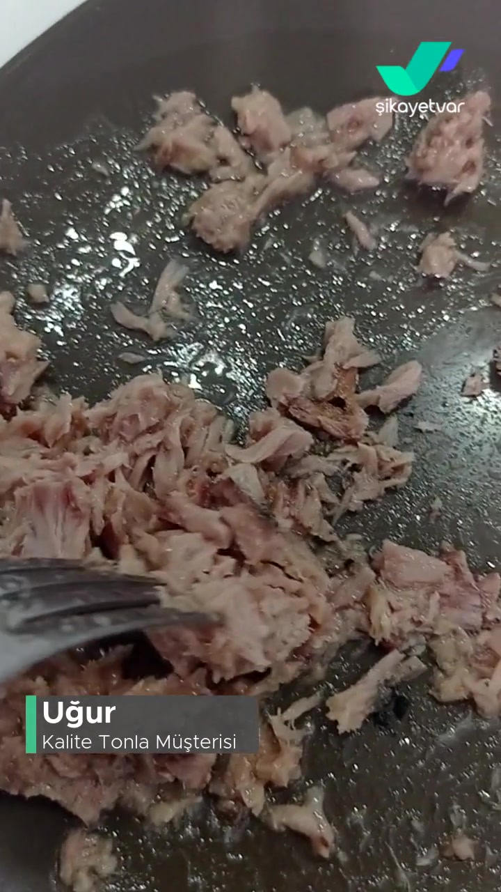 Kalite Tonla Ton Balığında Bir Değişiklik Var! videonun kapak resmi