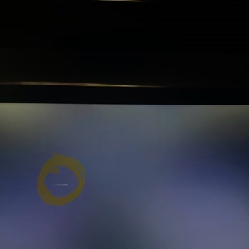 Monster Ölü Piksel Ve Sarı Leke Sorunu