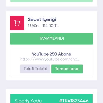 Sosyalevin.com Sitesinde Gerçekleşmeyen 250 Abone Hizmeti Siparişi
