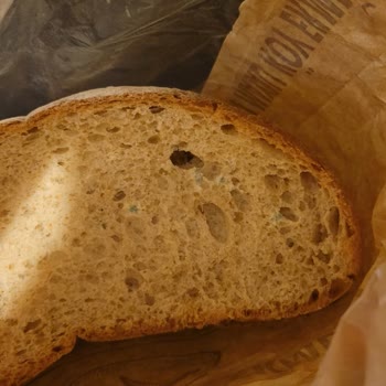 BİM Ekmek Küflü Çıktı!