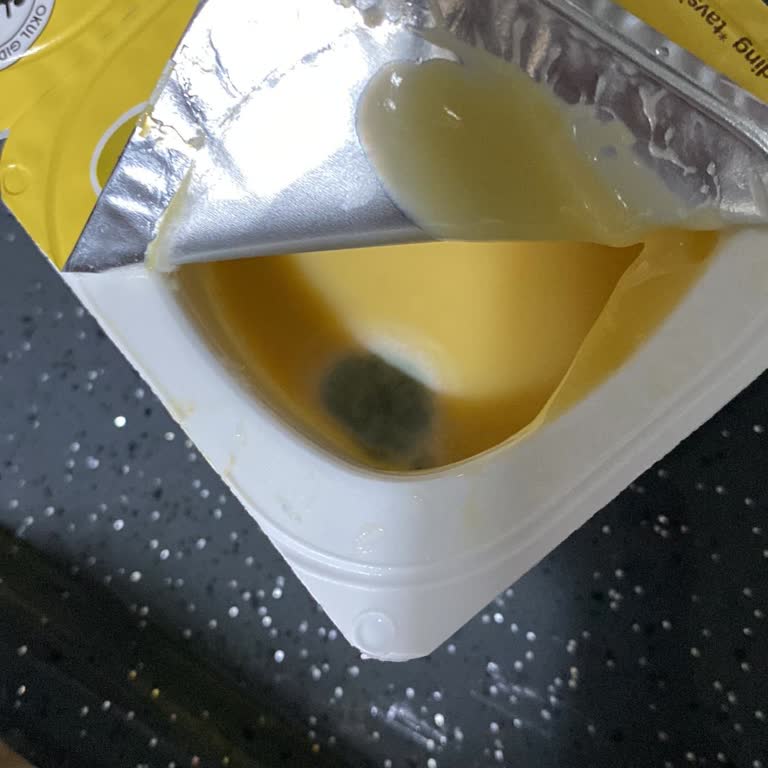 Danette Puding Küflü