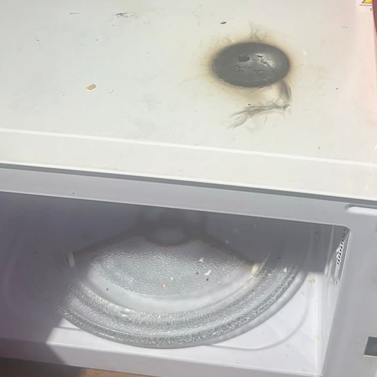 Arçelik Mikro Dalga Yanması