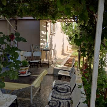 TOKİ Evimin Bahçesine Kahve Kurup Erkekler Oturduğu İçin Rahatsız Oluyorum