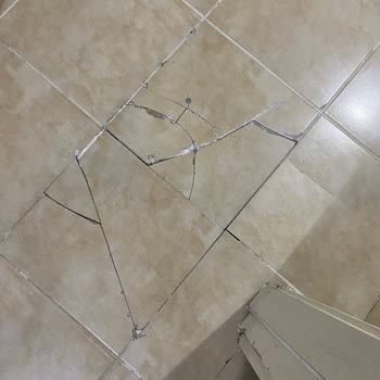 DASK (Doğal Afet Sigortaları Kurumu) Hasarımın Tamamının Karşılanması