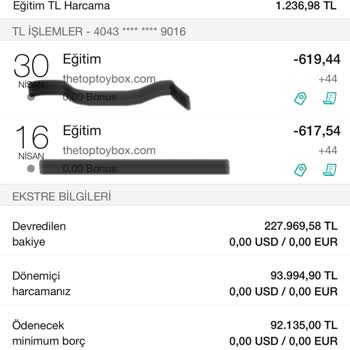 Thetoptoybox.com 3 Ay Boyunca Rızam Dışında Karttan 3780 TL Para Çek