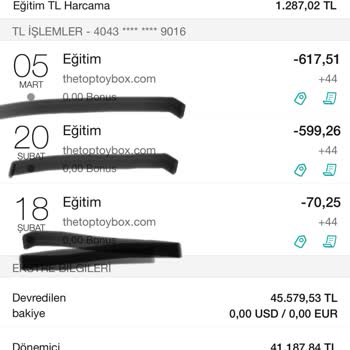 Thetoptoybox.com 3 Ay Boyunca Rızam Dışında Karttan 3780 TL Para Çek