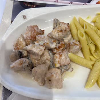 Günden Güne Yok Olan Tavuk Dünyası