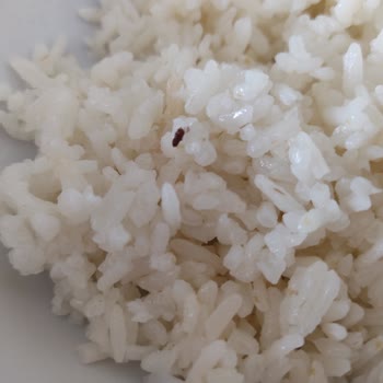 Fesleğen Yemek Yemekte Böcek Var