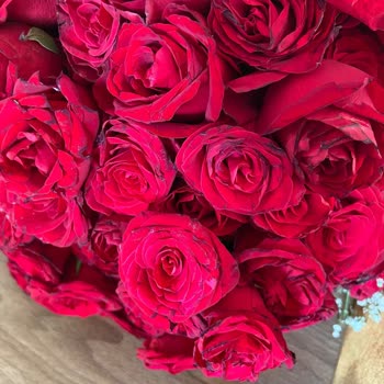 Çiçek Sepeti 2.000 TL 100 Gül Hüsranı