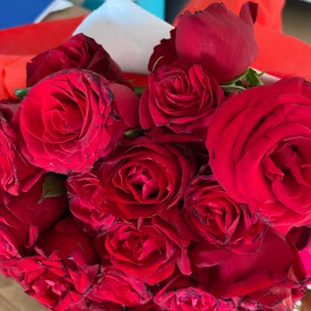 Çiçek Sepeti 2.000 TL 100 Gül Hüsranı