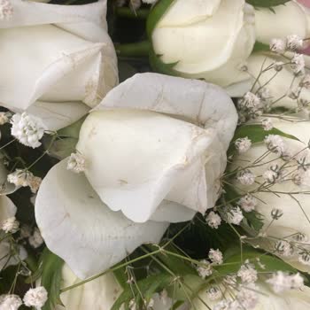 ÇiçekSepeti 700 Liralık Ölü Çiçekler Ve Kimsenin Destek Olmayışı.