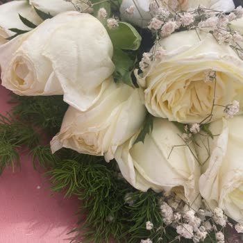 ÇiçekSepeti 700 Liralık Ölü Çiçekler Ve Kimsenin Destek Olmayışı.