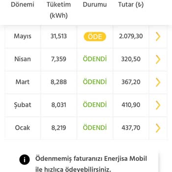 Enerjisa Başkent Elektrik Perakende Ankara Enerjisa Elektrik Faturası