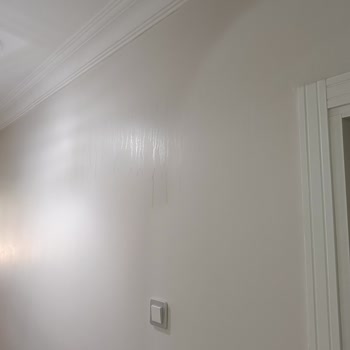 Marshall Boya İçin Acil Şikayet