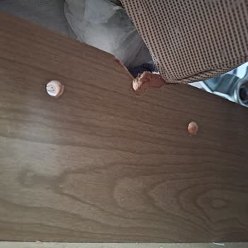 İstikbal Ve İhmalkarlık, Kalitesizlik