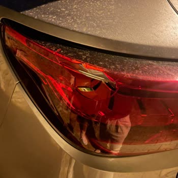 Bitez Hasbihal İlgisizliği!