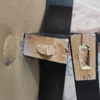 Kelebek Mobilya Kelebekler Uzun Ömürlü Olmaz