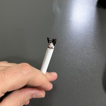 Marlboro Touch Blue