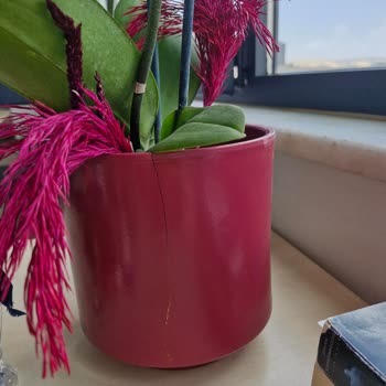 ÇiçekSepeti Kusurlu Ürün Gönderildi