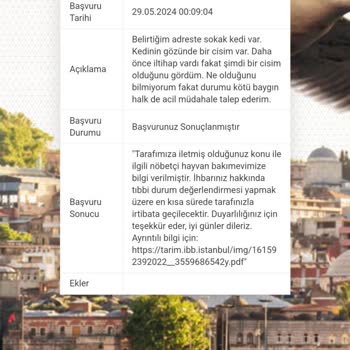 Küçükçekmece Belediyesi Ne Hayvanlara Ne De Parklarla İlgilenmiyor