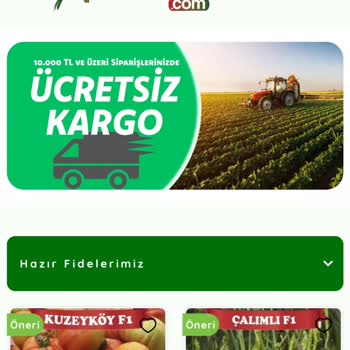 Toptanfide.com Site Doğru Mu Ya Da Sorun Ne