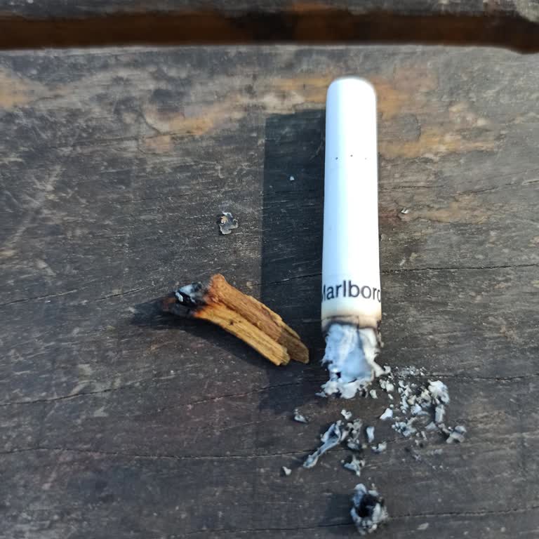 Marlboro Sigara Da Odun Çıkması