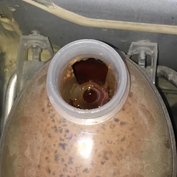 Dacia İkame Serviste Yatan Aracıma İkame Vermiyor