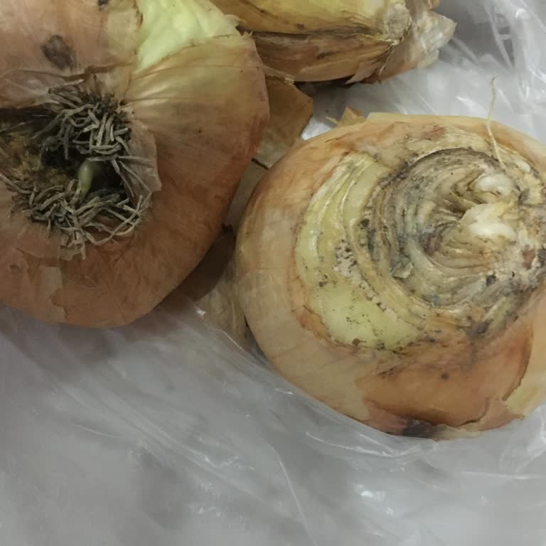 Migros Hemen İade Sorunu